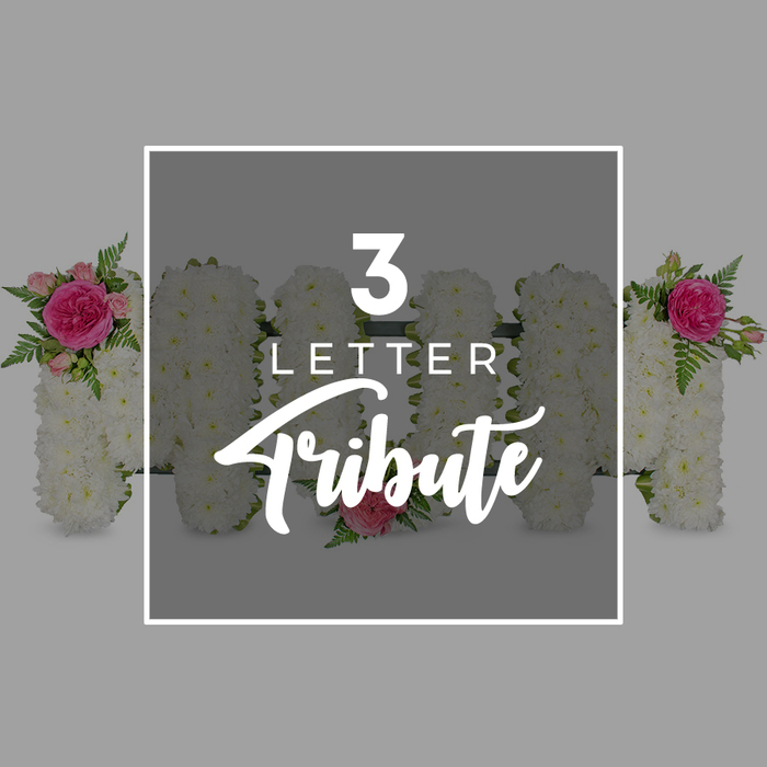 A serene, studio-style photograph features a carefully arranged three-letter funeral tribute spelling MOM, thoughtfully designed in soft whites and pinks against a calm grey background. The letters stand upright and bold, their shapes formed entirely from compact clusters of pristine white chrysanthemums whose small, layered petals give a gently rippled, cushion-like texture. This dense coverage creates a smooth, almost sculpted look, with each edge clearly defined and the overall impression one of purity and care. The first M is tastefully embellished at its upper left shoulder with a spray of vibrant fuchsia roses, flanked by paler pink rosebuds at different stages of opening, and interwoven with glossy green fern leaves that cascade lightly over the chrysanthemums. The central O is kept simple and dignified, its ring of white blooms interrupted only by a single, perfectly formed pink rose placed at the base, offering a quiet focal point. The second M mirrors the first in its decoration, featuring the same bright pink rose cluster at its upper right side, creating a visual echo that ties the composition together. Just beyond the main letters, partial glimpses of more chrysanthemum-covered forms hint at additional letter tributes, suggesting an ability to spell out longer names or words for a bespoke memorial. In the centre of the image, a neat white rectangular frame sits over the flowers, containing the words 3 LETTER in a clean, modern font with Tribute written beneath in a graceful script. The mood is one of gentle remembrance and personalised love, reminiscent of a floral display you might see at a quiet service in one of the small chapels around Gerrards Cross or during a farewell gathering for a much-loved mum.
