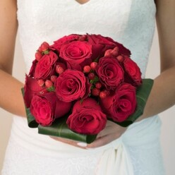 Channelling the quiet sophistication found within the leafy lanes of Gerrards Cross, this richly atmospheric scene captures a bride-visible from the chest downward-tenderly holding a full, rounded bouquet. Deep red roses, their velvety petals in various stages from tightly wound to gently spiralling open, create a dynamic, romantic texture central to the arrangement. Scarlets and rubies commingle as tiny hypericum berries peek out, lending an understated playful contrast, much like the bright accents of seasonal produce at the Gerrards Cross weekly market. A collar of shining broad green leaves, folded and arranged with meticulous care, frames the flowers, accentuating their luxury and natural beauty. With each detail-the careful arrangement, the subtle fragrance that seems to mingle with cool morning air, the pristine white of a lace-adorned bridal gown-this bouquet celebrates unity, tradition, and abundance. In the soft, neutral light, it becomes more than an accessory; it is a symbol of joyous vows and new beginnings, perfect for weddings set in Gerrards Cross's charming venues. This composition evokes not only the visual richness but also the lasting emotional memory of a wedding day marked by elegance and local artistry.