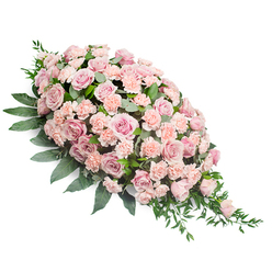 Displayed on a pure white background, this elegant sympathy spray takes on a graceful teardrop shape, starting with a lush, rounded cluster of flowers at the upper left and flowing down to a delicate, tapering point at the lower right. The entire surface is richly carpeted with pastel pink blooms: large, fully opened roses with velvety petals unfolding in soft spirals, smaller spray roses tucked between them, and a multitude of gently ruffled carnations in light blush and peach-pink. The colours are gentle and harmonious, shifting subtly from very pale, almost shell-pink tones to slightly deeper, muted rose shades that evoke tenderness and remembrance. Around and beneath the flowers, dark green foliage provides a strong yet gentle frame; broad, ovate leaves create a solid base, while finer greenery, including slim, pointed leaves and feathery fronds, emerges between the blossoms and trails at the sides. The greenery softens the outline, allowing the spray to feel natural and flowing rather than rigid. The lighting is soft and even, ensuring every petal and leaf appears fresh and clearly defined. This arrangement looks like it has been thoughtfully prepared by a local Gerrards Cross florist for a funeral or memorial, perhaps to accompany a service near West Common or a quiet gathering at the cemetery. It speaks of compassion and support without being overly dramatic, offering a sense of calm to those who view it. The composition suggests a final, gentle embrace for a loved one, a respectful floral tribute that honours their memory with understated grace and lasting affection.