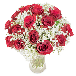 Picture a scene in Gerrards Cross where the air hints of celebration: a domed bouquet of lush, velvety red roses rests gracefully among ethereal mists of white baby's breath. In this stunning composition, each rose-selected for its vibrant hue and perfect shape-contributes to a radiance that feels at once inviting and grand. The white gypsophila nestles gently between the roses, offering both visual lightness and textural contrast. Arranged in a flawless, clear glass vase, the bouquet's stems are crisply visible, emphasizing freshness and authenticity-much like the spirit found along the leafy lanes of Packhorse Road or Chiltern Hill. Under a soft wash of daylight, petals shimmering gracefully, this arrangement exudes tranquillity and joy. The scent of roses, subtle but evocative, mingles with the countryside air, hinting at heartfelt emotion. Locals often choose such a bouquet for cherished milestones, romantic gestures, or simply to express love in an enduring way. Carefully assembled by expert florists in Gerrards Cross, it celebrates not just the beauty of flowers, but the enduring ties and joyful occasions that bring the community together.