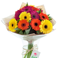 Nestled against a pure white backdrop, this striking arrangement of hand-tied Gerbera daisies exudes an effortless burst of colour and energy that feels right at home in Gerrards Cross. The bouquet is a celebration of bold yellow, vivid orange, and velvety fuchsia daisies, each blossom revealing its unique personality through brightly coloured petals and dark, dramatic centres. Interspersed with rich emerald foliage, the flowers are presented in a gleaming glass vase, their stems artfully visible amid crystal-clear water-a subtle testament to their freshness. The arrangement is thoughtfully wrapped in soft, rustic kraft paper and encased in shimmering clear cellophane, reminiscent of the elegant wrapping styles found at Gerrards Cross' Saturday markets. A twine bow adds a handcrafted touch, while a small gift tag with a delicate rose motif dangles gracefully, ready to carry a message of celebration or appreciation. The lighting is gentle and natural, illuminating every petal and infusing the bouquet with the golden glow of an early spring day. This composition is more than just a floral display-it is a heartfelt gesture, ideal for lighting up a birthday table, delivering thanks, or simply brightening a loved one's day in Gerrards Cross. The vivid colours and varied textures together tell a story of vibrancy and community, thoughtfully prepared by a florist who knows and cherishes the local area.