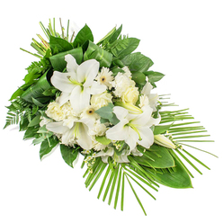 A long, asymmetrical sympathy spray in white and green is shown on a crisp white background, its form tapering gracefully to one side as if gently guiding the eye on a final, peaceful journey. Dominating the centre are striking white Oriental lilies, their large, trumpet-shaped blooms fully open in places, petals silky and slightly reflexed, while other buds remain closed, slender and poised, symbolising ongoing remembrance. Clustered among them are soft white and cream roses, some tightly furled, others partially open to reveal their intricate spirals of petals, adding a quiet, romantic tenderness. Ruffled white carnations contribute a cloud-like fullness, and white daisy-style gerberas with delicate dark or pale yellow centres lend a clean, contemporary note. Sprays of tiny white filler flowers are woven between the larger blooms, bringing fine detail and a sense of lightness. The flowers are cradled by abundant green foliage: broad, polished leaves provide a strong foundation, airy fern fronds introduce gentle movement, and rounded eucalyptus leaves in muted blue-green tones offer a soothing contrast. At the top, narrow green leaves are artfully wrapped and bundled, creating a neat vertical accent, while at the base a fan of long, slender palm fronds sweeps outward, giving the design its elongated, modern profile. The composition feels serene and thoughtfully balanced, ideal for expressing condolences at a funeral service or memorial gathering in Gerrards Cross, perhaps at St James' Church or a quiet ceremony near Gerrards Cross Common, its tranquil colours and considered craftsmanship reflecting the compassion of the community.