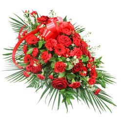 A luxurious funeral spray in rich shades of red stretches diagonally across a clean white background, every bloom positioned with the precision of an experienced florist. The arrangement has an elegant, elongated form, broad and full at the centre before gently narrowing at the ends, resembling a classic casket spray or grand tribute. Deep red roses form the emotional heart of the design, some tightly furled and others open in full, velvety spirals, suggesting a life cherished at every stage. Interwoven between them are generous clusters of red carnations, their ruffled, tufted petals lending softness and volume, and bold red gerberas that face outward, their open, daisy-like heads bringing structure and a sense of quiet strength. Threads of tiny white flowers, perhaps baby's breath or small chrysanthemum sprays, are sprinkled through the red, adding highlights and an airy, almost luminous contrast. Surrounding this river of red is a lush collar of foliage: long, dark green palm leaves flare outward to shape the silhouette, while compact, glossy leaves-likely salal or ruscus-fill in the interior, creating a dense, verdant backdrop against which the reds appear even deeper. Delicate fern fronds peek out here and there, giving a natural, slightly wild texture. At the upper section, a wide red satin ribbon is tied into an elaborate bow, its sheen catching the light, and its trailing ends cascading thoughtfully through the flowers like a final handwritten message. This composition feels perfectly suited to a farewell at a Gerrards Cross church or crematorium, perhaps following a quiet procession from the tree-lined streets around West Common, offering comfort and honour through its strong, unwavering colour palette.
