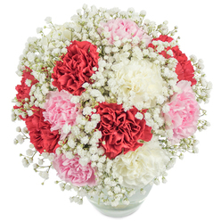 As a florist inspired daily by the charm of Gerrards Cross, I find this bouquet captures the balance between tradition and fresh expression. Presented in a rounded, clear glass vase set against a snow-white background, the arrangement boasts a dense profusion of carnations. Deep reds, gentle blush pinks, and creamy whites mingle seamlessly, each carnation's ruffled petals forming intricate whorls that invite a tactile appreciation. White baby's breath (Gypsophila), reminiscent of light mist on mornings at Gerrards Cross Common, swathes the bouquet with a cloud-like softness, enhancing the vivid colours without overpowering them. The blooms cluster in a rounded, almost opulent formation, exemplifying an elegant yet approachable style. Subtle glimpses of green stems through the vase serve as a gentle reminder of the bouquet's freshness and the local roots of our floristry. Ideal for expressing gratitude, admiration, or simply brightening a loved one's day, this arrangement's harmonious tones and soft textures evoke a sense of understated luxury-perfect for homes throughout Gerrards Cross, from Packhorse Road to East Common.