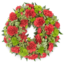 A traditional circular wreath fills the frame, suspended against a clean white backdrop that makes every petal and leaf easy to pick out in the mind's eye. Deep red carnations dominate the design, their plush, frilled petals layered like fine fabric, giving the wreath a soft, almost quilted appearance. Some carnations are fully open and generous, while others are slightly smaller, creating a gentle rhythm as your eye travels around the ring. Nestled among them, bright lime green button chrysanthemums add a lively counterpoint: tight, spherical blooms with countless tiny florets that feel smooth and compact, like little cushions of colour. The red and green together form a classic, almost timeless palette, with the green lending a sense of fresh life to the more emotive crimson. Supporting this floral canopy is a lush base of mixed greenery. You can sense the feathery touch of dark emerald fern fronds and the slightly waxy texture of variegated pittosporum, its leaves marked by creamy edges that lighten the overall look. Tucked into the foliage, a striped green ribbon forms a few modest loops, echoing the natural curves of the leaves and offering a quiet flourish without stealing attention from the blossoms. The wreath is perfectly round and evenly balanced, suggesting care and craftsmanship from an experienced local florist in Gerrards Cross, perhaps one used to creating tributes for services at the parish church or memorial gatherings near West Common. It feels like a sympathy wreath chosen to honour a life with warmth and respect, bringing a vivid yet gentle presence to a funeral or remembrance ceremony.