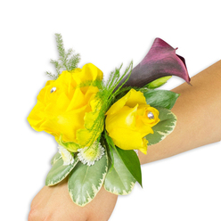 As a floral stylist I often assemble wrist corsages that are small performances of colour and texture; this example, shown across a light-skinned wrist on a stark white background, feels like a paused flourish. Two bright yellow roses take centre stage - one broad and fully open, the other more intimately cupped - and each is adorned with a single clear crystal nestled near its heart so every gesture sends a tiny glint of light. Tucked behind them is a single dark plum calla lily, its satiny throat curling upward to lend a dramatic silhouette and a cool, structured contrast to the roses' warmth. Around these blooms I've layered feathery asparagus fern for lift, creamy-edged variegated leaves (likely pittosporum) to give a sculptural base, and clusters of small white filler flowers that soften the edges. The corsage is secured with a slim band that stays almost out of sight, allowing the composition to sit diagonally across the frame from bottom-left to middle-right and show how comfortable it is to wear. The bright studio light brings out the buttery tone of the roses, the near-black depth of the calla and the glossy texture of the variegated foliage; you can almost sense the faint floral sweetness of the roses balanced by the green, leafy scent. This is the kind of piece we prepare for local graduations, wedding parties and formal nights in Gerrards Cross - from arrivals at the station to gatherings on the High Street - and it's a style Flower Delivery Gerrards Cross crafts regularly for clients who want a joyful, refined accent with a subtle sparkle.