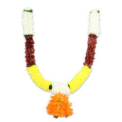 This U-shaped decorative garland, photographed against a plain white background, reads like a small festival in miniature-structured, symmetrical and full of colour. Crafted from resilient synthetic petals, the garland begins with two upright clusters of creamy-white, chrysanthemum-like pom-poms at the top of each arm, their soft, feathered edges catching the light like morning mist over Gerrards Cross Green. Below these pale crowns the design drops into a band of rich reddish-brown, densely layered and textured as if echoing terracotta or dried rose petals; this darker interval grounds the piece and lends it a sober dignity. Flowing from there, broad, luminous sections of golden-yellow imitate fresh marigolds, their tight, fluffy forms bringing warmth and cheer to the lower curve of the U. Small green accents-tiny leaves or narrow ribbon joins-mark the transitions and give a sense of leafy cohesion. Suspended at the centre is a large, multi-tiered pendant of brilliant orange ruffles, the focal blossom that feels both celebratory and reverent. The artificial materials have a slight satin sheen under studio lighting, hinting at a smooth, slightly plush touch and practical longevity for repeated use on doorways, temple frames, or as part of home puja displays for Diwali, Pongal or local wedding rituals. As someone who prepares ceremonial pieces for families across Chalfont Road and the High Street, I picture this toran softening an entrance, welcoming guests with traditional colour and textured detail.