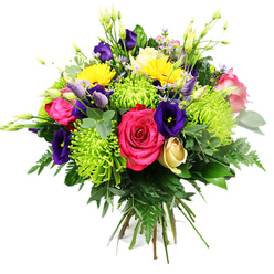 Set against a pure white backdrop, this hand-tied bouquet appears like a suspended sphere of colour, as if a piece of springtime from Gerrards Cross Memorial Garden has been gathered into your hands. At its heart, two or three generous hot pink roses unfold in soft, velvety layers, their petals catching the light and drawing the eye immediately. Around them, exuberant lime green spider chrysanthemums fan out in spiky, intricate halos, their fine tendrils giving a sense of movement and energy, like fresh shoots of new growth after rain. Deep indigo and royal purple lisianthus blooms are tucked between the larger flowers, some fully unfurled, others in tightly held buds, adding a rich, jewel-toned depth and an air of quiet elegance. Bright yellow gerberas, with wide, daisy-like faces and finely pleated petals, punctuate the design with bursts of sunshine, evoking cheerful walks along West Common on a clear day. A single cream-yellow rosebud peeks shyly from the greenery, its compact form softening the bold palette. Tiny lavender and blush filler flowers thread through the bouquet, accompanied by slender green and white buds that stretch upward, lending lightness and a slightly wild, garden-picked feel. The entire arrangement rests on a generous base of glossy dark green foliage, eucalyptus-style leaves, and feathery fern fronds, which spill gently around the edges and frame the brighter blooms. Each flower appears freshly cut, the colours vivid and the textures crisp, reflecting the care and skill of a local Gerrards Cross florist preparing a bouquet for same-day delivery to mark birthdays, anniversaries, or simple moments of appreciation at home or in the office.