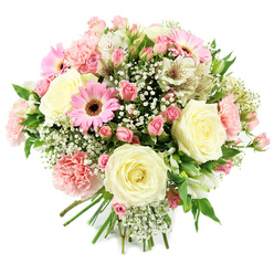 Captured against a pure white backdrop, this hand-tied bouquet feels like a calm moment of beauty amid the everyday bustle of Gerrards Cross High Street. At its centre, several large cream-coloured roses are fully open, each bloom revealing layer upon layer of velvety petals that curl gently outward, suggesting grace and maturity. Nestled around them are clusters of pink spray roses, their smaller buds and half-open flowers introducing a lively rhythm and a spectrum of blush tones, from soft pastel to richer rose pink. A few bright pink gerbera daisies stand out instantly, with flat, daisy-like petals radiating around deep brown, textured centres, adding a cheerful, almost playful note that recalls a sunny walk across East Common. Light pink carnations with ruffled edges create a cloudlike fullness, their petals appearing soft and slightly frilled, as if stirred by a light breeze. White alstroemeria, with fine, reddish streaks on their inner petals, catch the eye on closer inspection, adding subtle pattern and elegance. Scattered throughout, tiny white flowers of baby's breath form delicate, airy clusters, softening transitions between the larger blooms and giving the bouquet a romantic haze. Glossy green leaves and stems weave through the design, adding fresh contrast and a sense of garden vitality, as though freshly cut from a well-tended border near Chalfont St Peter. The stems are tied together neatly at the base, emphasising the craftsmanship and care that went into the arrangement. This bouquet conveys gentle affection, hope, and celebration, ideal for welcoming a new baby, marking an anniversary, or sending a comforting, uplifting gift with local flower delivery throughout Gerrards Cross and the surrounding villages.