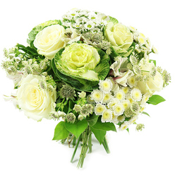 In this image, a luxurious white and green hand-tied bouquet rests against a spotless white background, the composition clean and uncluttered, as if just finished on the bench of a careful florist serving homes across Gerrards Cross. The central focus is a group of creamy white roses, fully opened so that every velvety petal can be seen spiralling outwards, forming generous, cupped blooms that suggest a soft, familiar scent. Threaded between them are ornamental cabbages, also known as flowering kale, whose layered rosettes of foliage transition from deep green outer leaves to ruffled, pale green and yellowish cores, giving the bouquet a modern, garden-inspired flair reminiscent of well-kept borders along Packhorse Road. Surrounding these are clusters of small white spray chrysanthemums and dainty daisy-like flowers, their many petals circling pale yellow-green centres that glow gently against the surrounding greenery. Slender stems bearing starry astrantia heads pierce the arrangement here and there, each bloom a tiny constellation of pointed bracts and clustered florets in muted greenish-white, contributing a slightly wild, meadowy texture. Fine hints of white alstroemeria peek through, their trumpet-shaped petals and faint markings adding subtle depth without disturbing the calm palette. A generous collar of mixed foliage anchors the design: glossy deep green leaves, more delicate, airy stems, and perhaps a touch of softer, silvery-green greenery combine to create a lush base that frames the lighter blooms. All the stems are drawn together neatly in a visible hand-tied gather, suggesting freshness and effortless placement into a vase. The overall mood is gentle, composed, and quietly confident, perfect for sending thoughtful congratulations, housewarming wishes, or serene sympathy flowers within the Gerrards Cross community.