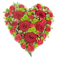 A striking, heart-shaped floral arrangement fills the frame, shown on a clean white background that allows every petal and leaf to stand out clearly. The heart is completely carpeted in flowers, creating a lush, almost fabric-like surface of blooms. Dominating the design are several large, velvety deep red roses, each perfectly formed, with layered petals spiralling inward to tight centres that draw the gaze and suggest strength and constancy. Cushioned around them, clusters of red carnations with frilled edges create a soft, textured backdrop, intensifying the richness of the crimson tones and giving the heart a sense of depth and comfort. Threaded through the sea of red, vibrant lime-green button chrysanthemums form small rounded tufts, their distinctive, bead-like florets offering a fresh, contemporary counterpoint to the traditional romance of the roses. A neat edging of variegated green-and-cream foliage gently frames the heart, refining its outline and adding a subtle natural pattern, while small fern-like fronds slip out discreetly near the tip, hinting at woodland calm. The overall balance of colour is carefully controlled: bold red for passion and remembrance, bright green for renewal and hope. This floral heart feels quietly powerful, the sort of tribute chosen to rest beside a coffin or on a memorial stand at services around Gerrards Cross, from local chapels to gatherings near Austenwood Common. Created with the practiced hand of a local florist, the piece suggests both love and farewell, making it suitable for same-day funeral flower delivery to families across the Gerrards Cross area who wish to send a deeply personal message in blooms.