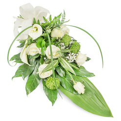 This elongated sympathy spray marries classic formality with a gentle modernity, arranged in serene white blooms and vibrant greens and photographed against a crisp white backdrop. Creamy white roses take centre stage, their petals layered like soft whispers of consolation, while two pristine white Calla lilies provide sculptural clarity and an elegant vertical focus. Vibrant, lime-green button chrysanthemums are dotted throughout the composition, offering tactile contrast and a subtle lift of colour against the whites. Wisps of baby's breath (Gypsophila) drift through the bouquet like exhalations, lightening the visual weight and lending an airy, compassionate softness. The underpinning foliage is thoughtfully varied: large, glossy dark-green leaves create structure, variegated greens introduce visual depth, and delicate fern fronds crown the top with a feathery finish. Two long, slender blades of bright green foliage arch across the piece, creating graceful motion that guides the eye down to the tapering end, which is finished with a broad, smooth tropical leaf in vivid green. A soft cream ribbon bow at the upper left provides a discreet, comforting detail. As a local arrangement often requested for funerals and memorials, this spray carries a restrained elegance ideal for services in Gerrards Cross and nearby chapels; it can be prepared with care and offered for same-day local delivery so families may share a dignified tribute at short notice.