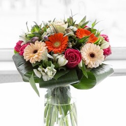 Sunlight spills across an expertly designed bouquet, instantly recalling a peaceful morning stroll through Gerrards Cross Common as spring bursts into bloom. Four gerbera daisies steal the show-two in brilliant orange, their vibrancy reminiscent of market stalls on Station Road, and two in soft peach, each petal curling gently towards a warm, chocolate-brown center. Nestled beside them, deep magenta roses bring a touch of opulence, their velvety spirals suggesting both new beginnings and cherished tradition. White alstroemeria and dainty spray roses are thoughtfully woven between these bold stars, lending a bright, uplifting freshness with each cluster. Pink-tinted blossoms and fine, white filler flowers emerge throughout, offering a subtle play of colour and texture. Lush, sculpted foliage-broad leaves artistically wrapped around the base and clusters of slender greenery-frames the bouquet, grounding its exuberance in organic calm. Encased in a tall, sleek glass vase, the stems are visible, crisp and alive with promise. The arrangement's luminous presence and layered fragrance blend romance and joy, making it ideal for sharing thanks or celebrating life's milestones in Gerrards Cross. Offering visual abundance and a sense of anticipation, this bouquet embodies the warmth and approachability of a neighbourhood florist sharply attuned to the tastes and stories of the local community.