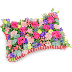 Presented from a slightly elevated, oblique viewpoint against a pure white backdrop, this pillow-style sympathy arrangement is an exercise in contrast and comfort. At its heart sit abundant hot pink roses, their velvety petals ranging from buttoned tight to gently opening, creating a warm, tactile center. Interspersed among them are soft, pale pink spray carnations lending frilly, cloud-like texture, while vibrant purple lisianthus provide cool, dramatic pockets of shadow and shape. Cheerful lemon-yellow ranunculus brighten the composition like small suns, and several silver-blue eryngium thistles give a striking, spiky counterpoint that adds both structure and an unexpected coastal blue note. A generous bed of eucalyptus with rounded, silvery leaves, together with deeper green fillers, supports the flowers and gives a calming, herbal scent when handled. All of this sits framed by a ruffled deep red satin ribbon base that crisply defines the pillow outline and adds a traditional, refined finish. In soft morning light the colours read as a celebration of memory-vivid yet tender-and the design feels like a visual embrace intended for a funeral, memorial or remembrance service. As a Gerrards Cross florist I craft pieces like this for wakes at the parish church, for display on The Broadway and for delivery around the station and nearby Beaconsfield; Flower Delivery Gerrards Cross can prepare and deliver this arrangement with care to local services.