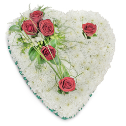 A carefully composed heart-shaped tribute, fashioned entirely from a dense, tactile carpet of immaculate white chrysanthemums, conveys a feeling of tender respect and serene farewell. A slim, emerald-green satin ribbon neatly edges the heart, framing the white surface with understated formality. On the upper left three deep red roses form a compact cluster, their velvety petals open to reveal layered, jewel-toned crimson - a traditional symbol of deep love and abiding respect. That cluster is set among lush green foliage: broad glossy leaves, feathery fern fronds, and thin arching bear grass strands that extend outward like soft calligraphy. Two solitary red roses balance the design - one near the top right curve and one toward the heart's point - each given a few small leaves and a gentle sweep of green so the eye moves across the composition with natural ease. Tiny white accent flowers are sparingly interspersed, adding softness without competing with the primary elements. The image is photographed against a clean white background with light from above that sculpts the flowers' textures and casts delicate shadows, underscoring the piece's depth. As a florist who designs many sympathy pieces for families attending services near Gerrards Cross Station and along Packhorse Road, I can say this arrangement reads as both classic and profoundly personal - suitable for a chapel, crematorium, or a place of quiet remembrance - and Flower Delivery Gerrards Cross prepares and parcels these with careful attention to presentation and local delivery.