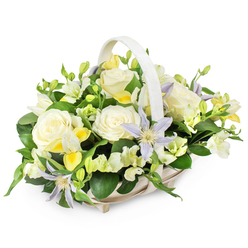 An understated yet luxurious funeral basket arrangement is presented against a spotless white background, its calm presence drawing the eye to every carefully chosen bloom. The light cream or off-white wicker basket, with its smooth, arching handle, looks as though it has been woven by hand, the pale fibres echoing the soft tones of the flowers and giving the design a traditional, comforting feel. Within this basket, the flowers rise in a rounded, generous shape, the work of an experienced Gerrards Cross florist who understands how to balance grace with meaning. At the centre, several large, cream and ivory roses open fully, their tightly layered petals forming serene, rounded rosettes that seem to glow from within. Weaving among them, star-like clematis flowers in misty lavender and gentle periwinkle blue add an airy lightness, their yellow-green centres providing a subtle point of brightness, like early morning light over the Chilterns. Around these more prominent blooms, clusters of small, freesia-style flowers in white and pale buttery yellow add movement and a hint of fragrance, their buds and blossoms mingling in a natural rhythm. The whole composition is anchored by lush, dark green foliage, including glossy larger leaves and finer stems that tuck between the flowers, giving structure and contrast. The colour palette remains cool and soothing-creams, whites, soft yellows, and pale lilacs-ideal for times of farewell, reflection, and gentle remembrance. This arrangement feels suited to resting near the front of a service at a local church in Gerrards Cross or being delivered quietly to a grieving family, offering a message of comfort that is both respectful and beautifully understated.