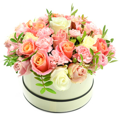 Imagine the quiet pleasure of running a fingertip along ruffled petals - that tactile impression is echoed in this lush, rounded floral composition set in a cream hatbox. The container is understated and chic, finished in matte cream and banded with two thin dark stripes, one circling the rim and another near the base, which frame the blooms like a picture. The arrangement is a dense dome of fresh roses and carnations: large roses present warm coral-peach and apricot centers that gently transition into softer blush pink and creamy ivory on their outer petals, creating subtle gradients of tone across the bouquet. Intermingled are clusters of petite, frilly light-pink carnations that add intricate texture and a whisper of movement. Slim sprigs of lively green foliage with elongated leaves peek through, offering small, cooling contrasts and enhancing the bouquet's three-dimensional depth. Set against a clean white background and bathed in soft daylight, the colours are tender and true, while the composition conveys expert horticultural restraint - nothing appears accidental, every bloom placed to complement its neighbours. The scent is suggested as a gentle, powdery sweetness, evoking an early-summer morning in a local garden. This arrangement reads as both intimate and refined, perfect as a centrepiece for a kitchen table on Station Road in Gerrards Cross or as a thoughtful gift delivered to someone in the High Street area for celebrations, anniversaries, or to say thank you with quiet elegance.