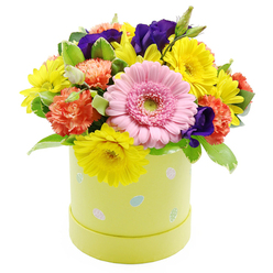 A lively Easter floral hatbox arrangement is presented against a crisp white background, its colours and textures capturing the feeling of a sunny spring morning in Gerrards Cross. The flowers are tightly clustered into a rounded dome, creating a sense of fullness and luxury that spills visually over the edge of the pastel lime-green cylinder. At the forefront, a single large Gerbera daisy in soft, blush-pink tones takes pride of place, its symmetrical ring of slender petals surrounding a fresh light green center that almost seems to glow. Encircling this focal bloom, bright yellow chrysanthemums fan their delicate petals outward, scattering little bursts of light across the composition like sunshine on the paths around Austenwood Common. Nestled between them, ruffled coral-orange carnations add volume and a soft, almost cloud-like texture, their petals curling and folding in intricate layers. Deep violet-purple lisianthus flowers peek out from the arrangement, their more intense hue lending depth, contrast, and a slightly romantic mood. Lush greenery supports the blossoms, with a mix of smooth, deep-green leaves and softly variegated foliage, the lighter edges catching the light and adding gentle movement. The round hatbox container is a muted, pastel yellow-green, decorated with playful Easter egg designs in pale blue, pink, and white, some accented with tiny spots or stripes that suggest joyful family traditions. This thoughtfully crafted arrangement feels ideal for Easter Sunday tables, spring birthdays, or seasonal well-wishes, ready for delivery to homes and gatherings across Gerrards Cross and the nearby village lanes.