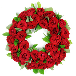 In Gerrards Cross, this circular wreath of red roses embodies ceremonial elegance and natural abundance. The ring is densely packed with dozens of crimson blooms, each in varying stages-from tight buds to fully open petals-creating velvety folds and subtle shade variations that catch the eye. Interspersed among the blossoms are sprigs of fresh green foliage, including broad matte eucalyptus-like leaves and sharper glossy ruscus, providing a crisp frame and textural contrast. The construction feels masterful, with petals and leaves arranged to form an unbroken circle that suggests eternity and remembrance. Set against a clean white background, the reds appear saturated while the greens glow softly, lending a calm, reverent mood to the composition. The scent, though not captured here, would speak of garden richness and quiet dignity. This timeless tribute suits sympathy, funerals, and anniversaries, and would accompany features about memorial flowers or thoughtful remembrances with grace. For readers in the Gerrards Cross area, the piece also signals reliable local service and freshness, with options for same-day delivery across the village and nearby communities to support families and church gatherings during difficult moments.