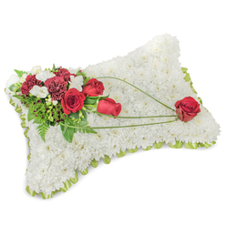 A meticulously composed memorial pillow, photographed with soft daylight that accentuates texture and tone, shows a rectangular cushion crafted from a dense sea of small white chrysanthemums. The repetitive, plush surface suggests calm and consolation, its tiny petals packed closely to create the impression of a gentle resting place. A subtle border of light green satin ribbon or narrow foliage traces the pillow's outline, lending a neat, finished edge. Anchoring the arrangement in the upper left is a vibrant cluster of deep red roses - some tightly furled, others fully open - set among deep burgundy carnations whose layered ruffles give the cluster a warm, tactile richness. Small white spray blooms, perhaps freesias or delicate lisianthus, are woven through the reds and lighten the composition. Various greens, including slim fern fronds and broader leaves, cradle the flowers and add depth. From the main cluster extend elegant, sweeping strands of bright green bear-grass or decorative wire that curve gracefully across the chrysanthemum field toward the lower right, creating an intentional line that culminates in a solitary red rose placed like a meditative punctuation. The scent is clean and subdued, the palette restrained yet quietly dramatic. Crafted in the style many families select for funeral services, this piece reads as both tribute and comfort. Flower Delivery Gerrards Cross often prepares similar cushions for delivery to local services on the High Street, to nearby churches, or for tributes at crematoria around Burnham and Denham, offering a composed expression of respect and enduring affection.