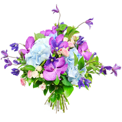 This image shows an opulent, professionally arranged bouquet set against a crisp white backdrop, every stem positioned with the kind of care you would expect from an experienced Gerrards Cross florist. Large, cloud-like heads of pale sky-blue hydrangeas form the main body of the design, their countless tiny petals overlapping to create a plush, cushiony texture that instantly suggests softness and abundance. Woven through this gentle blue base are vivid fuchsia and deep purple orchids, likely Vanda or Phalaenopsis varieties, their broad petals marked with intricate, speckled patterns that add drama and an exotic flair, like a statement piece in a Packhorse Road boutique. Rising from within are elegant purple clematis blooms, some opening into star shapes, others curling more like bells, their slender stems giving the bouquet an airy vertical lift and a sense of natural movement. Around them, miniature roses in shades of blush pink and creamy white are tucked thoughtfully, each small rosette adding subtle romance, like a quiet love note slipped between pages. Rich green foliage surrounds and supports the flowers, from smooth, glossy leaves catching imagined light to finer sprigs that soften the edges, evoking the verdant feel of local gardens near East Common. The stems are tied neatly at the base, hinting at a freshly finished hand-tied design, ready for same-day delivery to a home, office, or intimate celebration in Gerrards Cross. The palette of cool blues, regal purples, and tender pinks creates a bouquet that feels both sophisticated and welcoming, suitable for marking milestones, saying thank you, or simply bringing a sense of calm beauty into an everyday space.