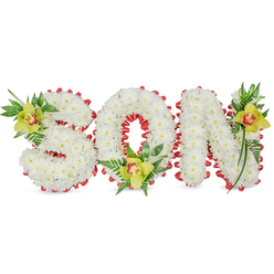A lovingly fashioned memorial arrangement spells 'SON' in strong three-dimensional letters, each sculpted from dense clusters of snowy white chrysanthemums that create a full, pillowed surface conveying purity and reverence. The perimeter of every letter and the hollow of the 'O' are encircled by a continuous red ribbon, folded into small scallops that give the tribute a refined edge and a vivid emotional accent against the white. Placed thoughtfully on the upper left of the 'S', at the base of the 'O', and on the upper right of the 'N' are three lime-green Cymbidium orchids whose waxy petals and reddish-brown throats lend a gentle, living warmth; these orchids are cushioned by glossy leaves and delicate fern fronds that provide soft vertical lines and a natural, garden-like texture. The composition is photographed against a clean white backdrop with soft, diffused lighting that brings out the interplay between matte chrysanthemum petals, the satin gleam of ribbon, and the orchid's subtly patterned throat. There is a faint, comforting scent of fresh florals and green foliage, a small sensory detail that often brings solace in moments of remembrance. Designed as a funeral or graveside tribute, this arrangement is crafted with careful workmanship and emotional sensitivity. Prepared by Flower Delivery Gerrards Cross, it is the kind of bespoke tribute we deliver to services on the High Street or to local cemeteries, chosen by families seeking a personalised expression of love and remembrance for a son.