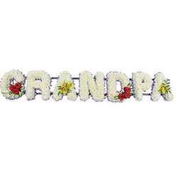 Set against a spotless white background, this thoughtful funeral tribute spells out GRANDPA in generous, block capital letters formed entirely from tightly clustered white chrysanthemums. The flowers are arranged so closely that they create a smooth, plush surface, soft to the eye and suggestive of comfort and tenderness, like a quiet walk through Bulstrode Park on a still morning in Gerrards Cross. Each letter is carefully edged with a slim lavender-purple ribbon, the pastel border tracing every curve and corner to provide gentle contrast and a polished, professional finish. In the open bend of the G, a small yet striking grouping of deep red roses is tucked into the white cushions, their velvety petals framed by rich green foliage that adds life and depth. The first A introduces a more unusual accent: yellow-green orchids, some with faint reddish markings, the blooms arching delicately and lending a refined, almost exotic note. The D echoes the design of the G with its own trio of red roses, tying the composition together, while the final A is again adorned with those same orchid blossoms, balancing the colour placement across the tribute. Discreet metal or wooden bars run horizontally behind the letters, holding them in a perfectly straight line while remaining visually understated. The overall mood is one of quiet dignity and love, an arrangement that feels both classic and personal, suitable for a memorial service, chapel farewell, or graveside ceremony in and around Gerrards Cross. The interplay of white, red, and orchid green delicately expresses remembrance, gratitude, and the lasting bond between a grandfather and his family.