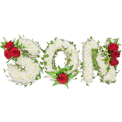 I fashioned this personal memorial tribute to read 'SON' in firm, elegant capitals-each letter composed of hundreds of small white spray chrysanthemums packed closely to give a pillow-like, reverent surface. The chrysanthemums carry a faint, clean scent that suggests early-morning air, and their creamy faces reflect soft daylight to create a serene impression. Interlaced throughout are rich strands of ivy and glossy dark green foliage that follow the contours of each character, lending organic movement and a sense of continuity to the piece. Deep, velvety red roses act as poignant focal points: three roses crown the upper left curve of the S; the O is kissed at its base by a single dramatic red rose surrounded by delicate fern fronds; and the right-hand stroke of the N is punctuated by a vertical trio of the same roses. Together these elements balance purity, passion, and remembrance. Presented on a bright white backdrop, the contrast reads clean and solemn-ideal for a chapel table, funeral service, or graveside near the High Street in Gerrards Cross or at nearby Beaconsfield cemeteries. As a local florist I understand how families in the area look for dignity and clarity in memorial flowers; this tribute, available through Flower Delivery Gerrards Cross for same-day or pre-arranged delivery across Gerrards Cross and neighbouring Chalfont St Giles, is intended to convey respect, enduring love, and a gentle comfort in a time of loss.