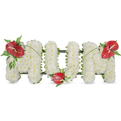 This arrangement captures the quiet dignity of a mother's memorial, the word 'MUM' shaped in three-dimensional letters of tightly clustered white spray chrysanthemums. Each bloom is chosen for fullness and arranged so the letters read as a seamless, velvety surface: a tactile field of soft petals that reflects a cool, serene light. A subtle dark green framework underpins the structure and peeks out along the sides, providing a supportive silhouette that allows the chrysanthemums to sit full and even. To introduce a note of warmth and enduring affection, three glossy red anthuriums are artfully placed - one on the upper left curve of the first 'M', a second cradled at the base of the 'U', and the third adorning the upper right of the final 'M'. Their smooth, waxy texture and pale yellow spadices catch the light, while surrounding sprays of fern and broad foliage create a layered green collar that deepens the composition. Thin, arching blades of grass sweep between the red blooms, drawing a gentle line across the white letters and giving the piece an elegant movement. The visual contrast between pure white chrysanthemums and vivid anthuriums reads as both reverent and intimate: sympathy made visible. As a locally minded florist in Gerrards Cross, Flower Delivery Gerrards Cross often crafts this style for services near the High Street and at local churches and crematoria, offering a tribute that balances dignity, warmth and careful workmanship without ostentation.