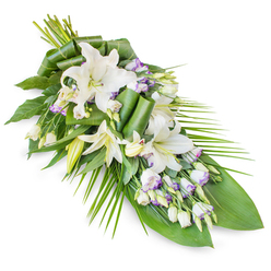 A refined funeral sheaf of white lilies and lisianthus lies on a clean white background, its shape stretching diagonally like a quiet sigh from the upper left corner to a slender point at the lower right. The composition feels calm and deliberate, as if carefully placed on a casket or memorial table in a peaceful chapel in Gerrards Cross. At the centre, large oriental lilies in luminous white provide focus and structure; some blossoms are open and generous, their thick petals curling softly as they frame pale green throats and dustings of pollen, while others remain as tall, elegant buds that bring height and promise. Woven among them are lisianthus blooms, their smaller, bell-shaped petals offering a gentle contrast. Most are white with delicate lavender or purple tracing the edges, as though the flowers have caught the last colour of an evening sky over the fields beyond Packhorse Road. A wealth of greenery supports the flowers: deep green leaves form a solid base, some manipulated into rolled or folded forms that add an almost architectural touch, while long, narrow fronds arc outward on one side, echoing the natural movement of grasses in a light breeze. The greens vary in shade and texture, from smooth and glossy to slightly matte, giving depth and interest without disturbing the overall serenity. The effect is of a polished, dignified sympathy arrangement, something a family might have delivered for a funeral or cremation service in the local area, expressing love, respect, and a wish for peace without the need for many words.