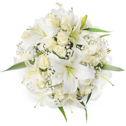 Captured from directly overhead on a spotless white surface, this round bouquet presents a harmonious study in whites and creams, arranged with deliberate care by a local hand. Broad white lilies dominate the composition, their trumpet-shaped petals unfurling to reveal pale green stamens and, in some blooms, a faint dusky throat that lends depth to their otherwise pristine faces. Interspersed among them are creamy ivory roses, mostly in tight bud or gently opening states, their layered petals giving tactile warmth against the lilies' smoother planes. Sprigs of delicate Baby's Breath (Gypsophila) are sprinkled throughout like soft snow, adding an airy filigree that softens edges and fills negative space with intricate detail. A few glossy green leaves emerge around the perimeter, their fresh colour sharpening the bouquet's round outline and providing a natural frame for the white blooms. Close your eyes and you can almost sense the lilies' sweet, lingering perfume blending with the roses' tender, familiar scent-an olfactory memory that suits weddings, christenings, anniversaries, or comforting sympathy arrangements. As crafted for local customers, Flower Delivery Gerrards Cross might offer this design for same-day delivery across Gerrards Cross, Burnham and the Chalfonts, where residents often request understated, elegant florals for meaningful moments. The lighting in the photograph is soft and diffuse, emphasizing petal texture and the bouquet's sculpted symmetry, while the overall mood remains one of purity, calm, and quietly assured beauty.