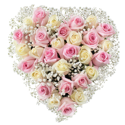 A masterful floral tribute, this heart-shaped arrangement crafted by a Gerrards Cross florist is a study in tenderness and grace. Around thirty-five roses, in hues of soft blush pink and creamy white, form the heart's intricate core. Each rose is captured at various stages of bloom, some still tightly coiled, others just beginning to open, their petals silky and inviting to the touch. Interlaced with the blooms are airy clusters of baby's breath, each tiny white flower like a whisper of comfort, softening the roses and creating a gentle, cloudlike boundary. The piece appears luminous against its immaculate white backdrop, as if touched by the gentle daylight streaming into a Gerrards Cross home. The arrangement calls to mind the timeless beauty found in the community's leafy lanes, offering reassurance and compassion for times of loss or remembrance. Whether delivered to a family home on Windsor Road or as a centrepiece for a quiet farewell at St. James's Church, this bouquet is a reflection of care and loving intention. Its balanced palette and harmonious forms evoke feelings of peace, solace, and enduring love-a meaningful gesture for expressing sympathy or honouring precious memories with the artistry and sensitivity only a local flower specialist can provide.