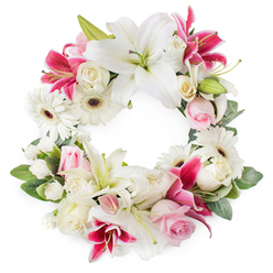 An exquisitely detailed circular floral wreath rests against a clean white backdrop, its calm symmetry and gentle colours suggesting both comfort and remembrance. The outer ring is shaped by rich, glossy greenery, layered leaves, and sprigs of fresh foliage, giving depth and support to a generous collar of blooms. Dominant among them are large white lilies, their petals silky and luminous, each bloom open enough to reveal delicate green throats and warm golden stamens. Between these, deep magenta and fuchsia lilies unfurl, their striking colour and lightly speckled centers adding drama without overpowering the softness of the overall design. White gerbera daisies punctuate the wreath like bright little suns, dark centers nestling amid the pale petals, offering a modern, cheerful counterpoint to the more traditional flowers. Soft pink roses and creamy white roses weave in and out of the lilies and gerberas, some tightly furled, others fully open so that their many layered petals create a plush, romantic texture. Smaller white filler blossoms, perhaps miniature carnations or spray roses, fill the spaces, creating a sense of unbroken continuity around the circle. The lighting feels gentle and even, reminiscent of a quiet morning in Gerrards Cross, perhaps near the green by West Common, with no harsh contrasts-just a serene, clear view of form and colour. This wreath conveys a message of purity, enduring love, and gentle farewell, making it a fitting floral tribute for local funeral services, memorials, or graveside gatherings, and an arrangement that a nearby florist would hand-deliver with care to families throughout Gerrards Cross.