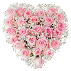 Framed against a clean white field, this heart-shaped floral design is an exercise in softness: dozens of fresh pale-pink roses are clustered so closely their velvety petals form one continuous, pillowy surface. Each blossom ranges from a faint, pearly blush at the outer edges to a warmer pink within, some petals still gently unfurling while others open to reveal the roses' familiar spirals. Interspersed throughout are tiny, snow-white pockets of gypsophila - baby's breath - whose feathered sprays create points of air and light that contrast and accentuate the roses' plush density. The bright, even studio lighting reveals subtle highlights on the rose petals and the delicate translucence of the baby's breath flowers, lending the heart a luminous, almost tactile presence. As a florist describing this piece I think of the breath it gives to the composition: the gypsophila works like lace, softening the strong romantic statement of the pink roses and making the whole feel tender rather than theatrical. The mood is hushed and intimate, suitable for a quiet declaration of love, a meaningful anniversary present, or a gentle tribute. If placed on a mantle or centre table, its clean silhouette and soothing palette invite close inspection and reflection, offering both visual warmth and the small, sweet scent of newly opened roses.