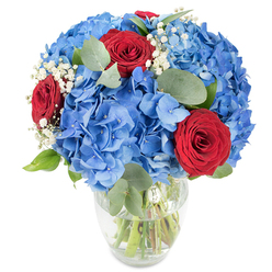 Presented in a clear, elegantly curved glass vase, this bouquet is a composed study in colour and texture that reads immediately as fresh and considered. Large, billowy clusters of sky-blue hydrangea form the main body of the arrangement, their numerous small petals overlapping into soft, voluminous spheres that feel cool and tactile to imagine. Punctuating that calm blue are three intensely red roses, each with velvety, tightly furled petals that lend a classic romantic punctuation and a deep, dramatic focal point. Scattered throughout are tiny, white baby's breath florets that float between the larger blooms like a dusting of light, giving the whole composition an ethereal lift. Sprays of rounded eucalyptus leaves in muted sage-green add a quiet structural rhythm and a subtle herbal aroma when the bouquet is close to the nose. The transparent vase reveals the green stems submerged in clear water, arranged so they support the dome of flowers while remaining visible and fresh. Bathed in gentle, natural light, the colours are vivid without being loud-perfect for a mantelpiece, a wedding table, or a commemorative display. As a Gerrards Cross florist I would place this on the High Street's café table to catch a passerby's eye or deliver it locally to a home near the station; Flower Delivery Gerrards Cross can prepare it for same-day delivery around Gerrards Cross and the Chalfonts with freshness and care. The arrangement feels both festive and tender, suitable for anniversaries, birthdays, or as a thoughtful symbol of admiration.