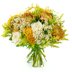Against a clean, white backdrop, a lush autumn bouquet appears almost to glow, as if just carried in from a ramble around the leafy streets of Gerrards Cross. The arrangement is tightly domed and beautifully balanced, dominated by large chrysanthemums in shades of burnished gold, deep orange, and russet brown, each bloom packed with fine, ruffled petals that radiate outward like tiny sunbursts. Tucked between these are softly luminous ivory and cream roses, their gently unfurling petals introducing a serene, classic note that tempers the richer tones. Several stems of celosia in golden-yellow and orange stand out with their velvety, crest-like forms, resembling miniature coral reefs or folded velvet, lending a playful, tactile twist to the composition. Scattered throughout, little clouds of white matricaria, reminiscent of chamomile with sunny yellow centres, add lightness and a hint of meadow charm, like the kind you might see edging gardens near West Common. Feathery lime-green solidago and mixed greenery weave in and around the flowers, creating a fresh, almost woodland feel and giving the bouquet an airy, full shape. The stems are gathered neatly and secured with green florist's tape, signalling a professional, hand-crafted finish suitable for same-day delivery across Gerrards Cross. The overall impression is of gentle warmth and understated celebration - a bouquet that could brighten a hallway, dress a dining table for an autumn supper, or carry a heartfelt message of thanks or encouragement to someone special nearby.