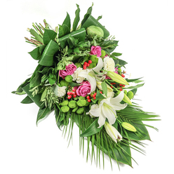 The essence of this lavish sympathy spray, expertly crafted in Gerrards Cross, lies in its harmonious interplay of color, texture, and remembrance. A diagonal composition sweeps gracefully from top left to bottom right, set against a stark white background, allowing every detail to shine. Central to the bouquet, crisp white lilies-some blooming, some budding-stand as symbols of purity and gentle farewell, their fragrance evoking calm reflection. Among them, rosy pink and rich fuchsia roses, at varying stages of openness, offer warmth and a sense of cherished memory. Delicate ruffled carnations in white act as a soft, textural counterpoint, infusing quiet elegance. Spherical, apple-green santini chrysanthemums cluster like dewdrops amid the florals, their playful texture echoing the fresh greens of nearby East Common in summertime. Vivid red hypericum berries thread delightful accents through the cascades of broad, glossy aspidistra leaves and lighter feathery foliage, all resting upon a dramatic base of trailing palm fronds. The arrangement exudes careful artistry and heartfelt intent, capturing the tranquil, reliable spirit of Gerrards Cross. It is a fitting tribute, whether for a funeral, memorial, or to provide solace, its beauty gently carrying the emotions that words cannot fully express.