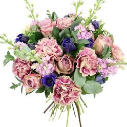 A richly textured hand-tied bouquet is set against a plain white background, allowing every colour and petal to stand out with gallery-like clarity, as though displayed in a light-filled shop just off Packhorse Road in Gerrards Cross. At the centre, full, romantic garden roses in shades of blush pink, dusty mauve, and weathered antique rose unfurl in soft spirals, evoking the feel of an English garden at dusk. Around them, abundant ruffled carnations billow in layers, the petals shifting gently from creamy beige and pale blush at their cores to deeper rose and plum along the frilled edges, giving the arrangement a plush, almost fabric-like richness. Deep indigo-blue blooms, resembling slender tulip or tightly cupped anemone buds, add strokes of dramatic colour, while a single open royal blue anemone with a near-black centre sits near the front, drawing the eye like a jewel. Threaded through this tapestry of colour are airy stems of pale lavender and lilac stock, their small clustered blossoms adding vertical lift and a soft, nostalgic perfume. Encircling and supporting the flowers is a tapestry of foliage: dark green rose leaves, fresh and glossy, mingling with rounded, silvery eucalyptus that introduces both texture and a cool, aromatic note. The stems are gathered cleanly at the base, showcasing the bouquet's hand-crafted nature and readiness for delivery across Gerrards Cross. The overall mood is elegant yet comforting, ideal for a birthday surprise, an anniversary gesture, or a heartfelt message of support to someone in the local community.