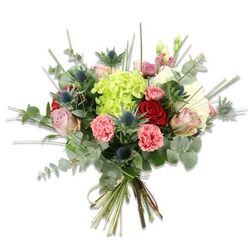 Seen against a stark white backdrop, this hand-tied floral gathering balances softness and structure with a practiced florist's eye. In the centre a rounded mass of lime-green hydrangea anchors the arrangement; its densely packed tiny petals create a plush, almost pillow-like texture that catches light and invites touch. Surrounding the hydrangea, pale pink and creamy roses open in soft spirals, their satin petals conveying tenderness, while select deep red roses punctuate the design with classic elegance. Coral-pink carnations, with their frilled edges, bring energetic warmth and playful texture that offsets the smoother rose heads. The bouquet's modern edge comes from metallic blue-grey Eryngium thistles-spiky, star-shaped blooms that introduce a wild, architectural silhouette and a cool, steely hue against the warmer flowers. Layered throughout are rounded eucalyptus leaves in silvery green, offering both a subtle, refreshing scent and a contemporary, airy framework; long slender blades of green filler add vertical lines and lightness, suggesting a garden-walk spontaneity. The stems are neatly gathered and tied with a natural fibre, exposing the trimmed green stems beneath and emphasizing the hand-tied craftsmanship. Under soft, diffuse lighting the interplay of velvet, frill, and spike creates depth and visual rhythm. This bouquet feels like a thoughtful, celebratory choice-perfect for an anniversary, a mother's day surprise, or as a cheerful centrepiece-and I imagine it brightening homes along the High Street in Gerrards Cross, arriving with a gentle eucalyptus scent and a feeling of fresh-picked care.