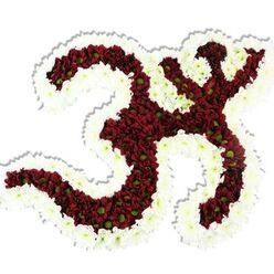 Every curve of this intricately made floral Om symbol carries obvious care and traditional craft: the central volumes are densely packed with dark red to maroon chrysanthemum-like blooms, each tiny pompon featuring a lime-green centre that catches the eye like a quiet pulse of life. A generous, undulating rim of small white chrysanthemums outlines the entire character, sharpening the silhouette and separating each loop and the crescent-with-dot detail so the Sanskrit form reads clearly even from a distance. The composition feels tactile and measured - petals layered to create a soft, velvety texture while the whole piece retains sculptural definition, a balance we often aim for in sympathy and ceremonial tributes. Soft studio light from above yields a gentle shadow beneath the arrangement, reinforcing its three-dimensional presence against the pure white backdrop. The scent is subtle, earthy and calming, the kind of fragrance that suits a meditative altar or a quiet remembrance at a community service. As a local arrangement prepared in Gerrards Cross - often ordered by families from Flower Delivery Gerrards Cross for memorials at the parish church or for cultural observances near the High Street and station - this floral Om reads both as an artistic statement and a comforting emblem. It's equally appropriate for yoga or spiritual events, where its rich hues and crisp white border project devotion, peace and careful craftsmanship.