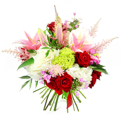 Set against a clean white background, this hand-tied bouquet appears almost to float, its colours and forms arranged with the precision of an experienced florist working in Gerrards Cross. Deep red roses, rich and velvety, anchor the design with a sense of timeless romance, their petals layered so densely that each bloom feels like a small, sculpted work of art. Rising between them are graceful pink lilies, some fully open with star-like petals showing a delicate gradient from deeper pink at the edges to softer tones near the centre, others still closed in elongated buds, suggesting a bouquet that will continue to evolve over several days. A generous layer of ruffled white blossoms, likely carnations or soft-petalled garden blooms, creates a creamy cushion of texture, giving the arrangement both volume and a sense of softness you can almost feel under your fingertips. Near the middle, a single, vivid lime green dianthus sphere adds playful contrast, its fine, grassy filaments lending an unexpected, modern edge. Light, feathery wands of pale pink astilbe extend outwards, like wisps of mist drifting over the commons, softening the silhouette and adding a romantic, slightly wild touch. Tiny tufts of fuchsia and lavender flowers are tucked between the larger heads, introducing subtle bursts of colour that reward closer inspection. Glossy dark green leaves weave through the composition, grounding the brighter tones and echoing the hedgerows seen around local streets near the Gerrards Cross station. At the base, neatly trimmed stems are gathered and bound with a rich red satin ribbon, confirming its hand-crafted nature and readiness for gifting, whether as a centrepiece for a Gerrards Cross dinner party or a same-day delivery to mark a milestone at a nearby office.