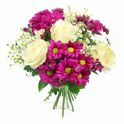 Set against a bright, uncluttered white backdrop, this carefully composed bouquet appears almost to float, every bloom showcased with gallery-like precision. At its heart rest several fully opened roses in a creamy ivory tone, their petals infused with hints of pale yellow, unfolding in tight, elegant spirals that speak of classic romance. Encircling these are abundant fuchsia and magenta chrysanthemums, their petals radiating around vivid yellow-green centres that glow like little suns, reminiscent of late-summer colour in gardens off Packhorse Road in Gerrards Cross. Fine, airy sprigs of small white daisies, likely chamomile or matricaria, are threaded throughout the design, their tiny yellow centres and slim petals bringing a fresh, countryside feel, as though the bouquet captures a walk across West Common in bloom. Deeper purple-pink chrysanthemum buds nestle quietly between the larger flowers, adding layers of depth and visual interest. The greenery is subtle yet purposeful: glossy rose foliage and textured chrysanthemum leaves cradle the blossoms, framing them in rich, natural green. All the stems are gathered firmly at the base and secured with a neat green and white checkered ribbon, creating the feel of a bespoke hand-tied gift rather than a mass-produced arrangement. Soft, even lighting enhances every colour and contour without harsh glare, suggesting a bouquet freshly crafted in a local Gerrards Cross flower studio, ready for same-day delivery to mark anniversaries, new homes, or thoughtful get-well wishes with a sense of cheerful elegance.