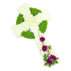 A large Celtic cross made entirely of fresh flowers is shown on a bright, white background, so every curve and texture is clearly visible. The main structure of the cross is covered in a dense tapestry of white chrysanthemums, their small petals overlapping to create a smooth yet softly textured surface along the vertical stem and horizontal arms. They form a gentle mound, suggesting both softness and strength as they wrap around the shape. Running through and around this white base is a precise pattern of lime green button chrysanthemums, their compact, spherical heads carefully placed to form the circular halo and intertwining lines so typical of a Celtic cross. This vivid green detailing stands out sharply against the white, adding both structure and a sense of living freshness, as if new growth were woven into an ancient symbol. Towards the lower portion of the cross, three distinct clusters of deep purple carnations rest along one side of the vertical arm. Their petals are rich and velvety, with shades that hover between magenta and royal purple, providing a striking contrast to the white and green above. A few slender green leaves and twisting stems are threaded among these carnations, softening the line and adding a natural flow. The arrangement feels serene and reverent, ideal for a funeral service or memorial gathering in Gerrards Cross, perhaps for families wishing to reflect both spiritual faith and a connection to Celtic heritage within a single, carefully crafted floral tribute.