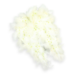 An elegant angel-wing floral tribute is displayed on a pristine white backdrop, its serene form evoking the calm of a quiet morning in Gerrards Cross Memorial Garden. Each wing is composed of tightly clustered white flowers, most likely delicate chrysanthemums and small carnations, arranged so densely that the surface appears almost like soft fabric. The centers of these tiny blooms show the lightest touch of pale green and buttery yellow, barely-there shades that break up the whiteness and bring a gentle, living warmth to the design. Around the outer edges and along the sweeping tips of the wings, layers of white feathers are thoughtfully placed, adding a halo of airy, cloud-like softness. These feathers give the wings a sense of lift and movement, as though they could offer a protective embrace. A subtle shadow falls beneath the arrangement, allowing the detailed textures and contours to stand out without disturbing the calm, monochrome palette. Crafted as a heartfelt funeral tribute, this angel-wing design conveys messages of peace, innocence, and spiritual guidance, making it a meaningful choice for services in local chapels or crematoria serving Gerrards Cross. The piece feels deeply personal, like a final blessing laid with love, suitable for remembering someone gentle and cherished, and offering quiet comfort to friends and family gathered to say goodbye. It is the kind of memorial arrangement a thoughtful local florist might prepare for same-day delivery to homes and funeral directors throughout Gerrards Cross and the surrounding villages.