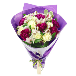 An elegant bouquet is captured against a spotless white backdrop, making every colour and texture stand out with clarity, as though the flowers have just been prepared for delivery across Gerrards Cross. Plump cream-white roses sit proudly at the centre, their tightly layered petals forming perfect rosettes that suggest purity and quiet affection. Surrounding them, deep magenta and fuchsia carnations create a velvety ring of ruffled blooms, their intricate frills adding drama and movement to the design. Nestled among these are graceful stems of white alstroemeria, each bloom marked with fine pinkish-red brushstrokes and striking dark stamens, lending an artistic touch that feels almost hand-painted. The arrangement is laced with glossy green foliage, including some gently variegated leaves, which weave between the flowers to add volume, structure, and a sense of just-picked freshness. The bouquet forms a rounded, dome-like top, gradually narrowing as the stems descend, so it looks both full and neatly composed. Around the stems, an inner wrap of crisp white paper hugs the blooms, giving a tidy, sophisticated base. Over this, a layer of translucent purple cellophane or tissue is gathered, its slightly crinkled surface catching the light and echoing the jewel tones of the carnations. The wrapping is secured firmly with a vivid green satin ribbon tied into a small bow, from which a pale, rectangular gift tag dangles, suggesting a personal note for a loved one in Gerrards Cross, perhaps near West Common or along the quiet residential lanes. The bouquet radiates a gentle sense of celebration and care, ideal for marking milestones, saying thank you, or sending warm wishes with same-day local flower delivery.