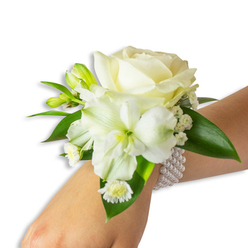 An elegant wrist corsage photographed on a fair-skinned wrist, rendered with the attentive detail of a local Gerrards Cross florist. The focal point is a sumptuous creamy white rose whose petals open in a relaxed, velvety spiral; beneath it sits a trumpet-like white bloom-resembling alstroemeria-with a soft green-yellow throat that gives the ensemble subtle luminosity. Scattered through the composition are tiny, airy clusters of baby's breath that soften edges and create a gentle, clouded texture, while small white daisy-shaped florets with golden centers introduce a fresh, cheerful note near the wrist. A few small green buds, poised and unopened, suggest the promise of further bloom, and the arrangement is balanced by several broad, deep green leaves with a smooth, glossy surface that frames the flowers and supplies vivid contrast. The corsage is fastened by a chic multi-strand pearl bracelet whose uniformly round, creamy pearls wrap comfortably around the arm, their cool sheen echoing the blooms' quiet elegance. If you imagine the scent, it is faintly powdery and floral-like early morning petals-inviting a brief, calming breath. Crafted with precision for formal occasions from weddings on the High Street to prom nights after ceremonies near Gerrards Cross station, this wristlet reflects the refined, understated style many local clients request. Available from Flower Delivery Gerrards Cross, it pairs classic materials and contemporary restraint to mark moments of ceremony and joy.