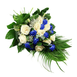 A dignified cascading funeral spray of blue and white roses is set against a stark white background, allowing every detail of the design to stand out clearly, as if laid gently on a linen-draped table in a quiet Gerrards Cross chapel. The arrangement forms a soft crescent or teardrop shape, beginning with a concentrated cluster of blooms at the upper left that gradually lengthens into a sweeping tail of foliage and flowers at the lower right. Around two dozen fully opened roses fill the piece, each head full and velvety. Deep sapphire blue roses, richly dyed yet natural in shape, alternate with creamy white and ivory roses, so that neither hue overpowers the other. Their petals curl and fold in concentric layers, suggesting both strength and tenderness. Between the larger blooms, small tufts of white baby's breath flicker like tiny stars, adding a cloud-like delicacy and a sense of air around the heavier roses. The floral work rests on a bed of luxuriant greenery: dark, glossy leaves shape the core, while upright fronds of bright green fern add light movement near the top. From the lower right margin, long palm fronds arc outward and downward, guiding the eye and giving the piece its flowing silhouette. Silver-tinged, eucalyptus-style foliage peeks between the roses, introducing a gentle blue-green echo of the sapphire petals. Broad green leaves, folded into firm bands and loops, wind through the spray like quiet accents of structure, revealing the steady hand of an experienced florist. This blue and white tribute feels suited to a funeral at the local crematorium or a memorial service in one of Gerrards Cross's peaceful churches, expressing calm, respect, and enduring love.