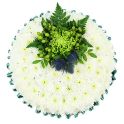 From a bird's-eye view, this circular funeral tribute appears like a still, white lake of petals, perfectly round and meticulously finished. The entire cushion is covered in small white chrysanthemums, each flower pressed close to its neighbour so that no gaps of foam or foliage show through. Their petals, fine and numerous, create a plush, quilted effect, with the tiniest hint of soft green at the centres bringing a sense of gentle life to the otherwise serene white. Along the outer edge, an emerald green satin ribbon is folded into regular, scalloped pleats, its sheen catching the light and crisply defining the boundary of the arrangement. At the upper centre, a rich, textural spray of green and blue-violet flowers forms a focal point. A vivid lime spider chrysanthemum sits at the heart, its narrow petals radiating like delicate fireworks, surrounded by clusters of fresh, apple-green Hypericum berries and layers of dark fern fronds. You can almost feel the contrast between the cool, glossy berries and the feathery greenery. Two distinctive Scottish thistles rise within this cluster, their rounded, spiky heads in muted indigo tones, bringing cultural symbolism and a rugged, natural beauty. The overall design feels cool, composed, and deeply respectful, the kind of tribute a family in Gerrards Cross might send to honour a loved one's Scottish roots or love of the countryside. Ideal for services held around Gerrards Cross, Jordans, or along the tree-lined streets leading to the common, this floral cushion could be prepared by local florists for timely funeral delivery, offering a quiet expression of sympathy and remembrance.