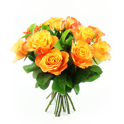 A striking bouquet of bi-colour roses is shown in close focus, the flowers forming a generous, almost perfectly rounded dome against a clean white backdrop. Around a dozen large blooms press together, each rose fully open so that its petal structure is clearly visible: tight, golden-yellow centres gradually relax into waves of warm apricot, deepening into fiery orange and, here and there, a whisper of red-orange along the outer edges. The petals have a soft, velvety texture that catches the light, giving the roses a gentle, luminous glow, as though they were lit by late afternoon sunshine over Gerrards Cross Common. Between the flowers, clusters of deep green leaves emerge, their smooth surfaces and defined veins offering a cool, natural counterpoint to the heat of the blooms' colouring. The stems below are bunched together in a tidy bundle, straight and sturdy, hinting at the care taken by the florist who has just tied this hand-tied arrangement for delivery to a home near Packhorse Road or West Common. Against the uncluttered white background, every nuance of colour stands out, from mango and marigold to amber and soft peach, creating an impression of optimism and encouragement. This bouquet feels ideal for sending congratulations, brightening a new home, or simply lifting someone's spirits around Gerrards Cross, Chalfont St Peter, or nearby villages. The image conveys not only the beauty of fresh roses, but also the sense of thoughtful intention behind a locally crafted floral gift.