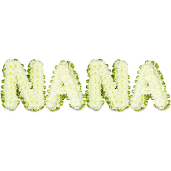 This carefully composed memorial arrangement spells NANA in four substantial, three-dimensional letters made from hundreds of pristine white chrysanthemums - the small button blooms pressed close to form each solid character. The surface of every letter is textured with the fine, layered petals of the chrysanthemums, producing a soft, pillow-like appearance that feels both sculptural and deeply personal. A vivid green border, arranged like a pleated ribbon of foliage, traces the outline of each letter and provides crisp visual separation from the white backdrop, the lively green suggesting life and gentle renewal beside the pure white sympathy blooms. Bright, even lighting accentuates the depth and shadow between the clustered florets and highlights the meticulous floral wiring and foam support beneath, revealing the craft behind the calm presentation.

Prepared with the care of a local florist serving Gerrards Cross-Flower Delivery Gerrards Cross often assembles similar personalised tributes for services at the town's chapels and community venues near Packhorse Road and the station-this tribute reads as a loving, dignified farewell to a grandmother. The soft scent of freshly cut chrysanthemums mingles subtly with green foliage, creating a restrained, respectful atmosphere. Seen from across a room or close beside a graveside, the letters offer both a readable message and a textured, comforting presence that honours memory and supports mourners in moments of quiet reflection.